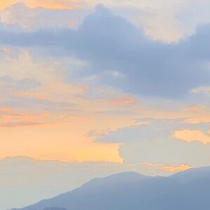 Closing sale! Clearing out my closet before Summer. Will be out June to Sept.